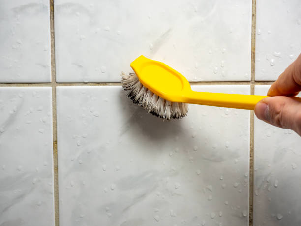 Best Health and Safety Mold Remediation in Harvard, IL